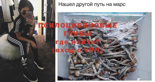 шишки Армянск