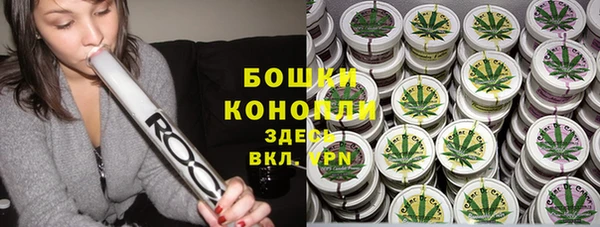 шишки Армянск