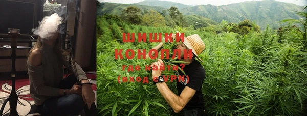 шишки Армянск