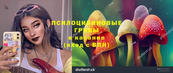 шишки Армянск