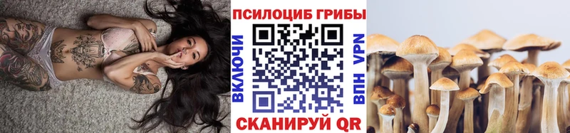 как найти наркотики  Райчихинск  Псилоцибиновые грибы мухоморы 